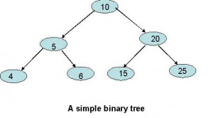 binary tree